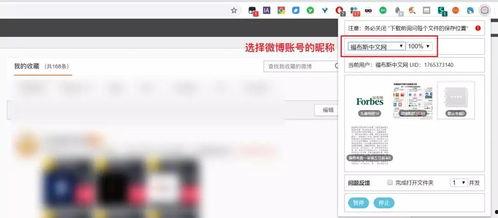 打扰吃瓜,一窥娱乐圈幕后风云