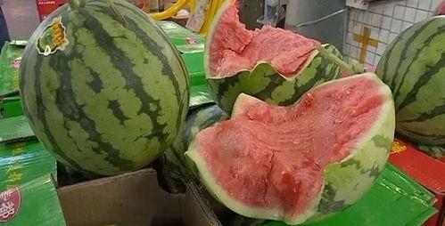 娱乐吃瓜教程,轻松吃瓜教程，让你轻松成为娱乐圈小达人