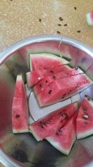 吃不动了的瓜,揭秘娱乐圈背后的真相与内幕