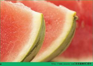 哺乳吃牛角瓜吗,探寻自然界的共生奥秘