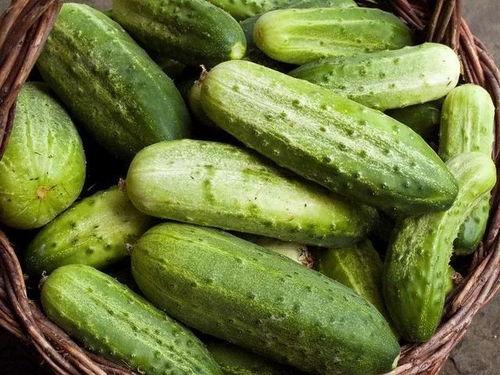 痛风吃附瓜,附瓜助力缓解痛风症状