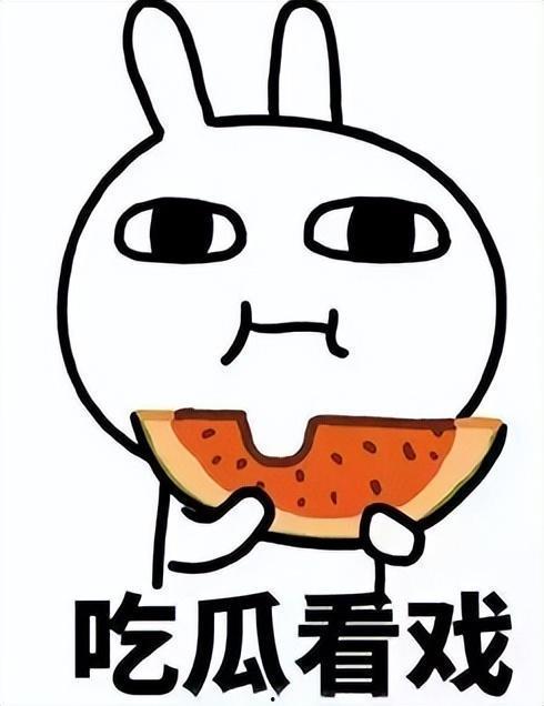 吃瓜吃成原告,一瓜农的意外原告之旅