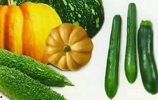 吃瓜挂图,一场视觉盛宴背后的故事