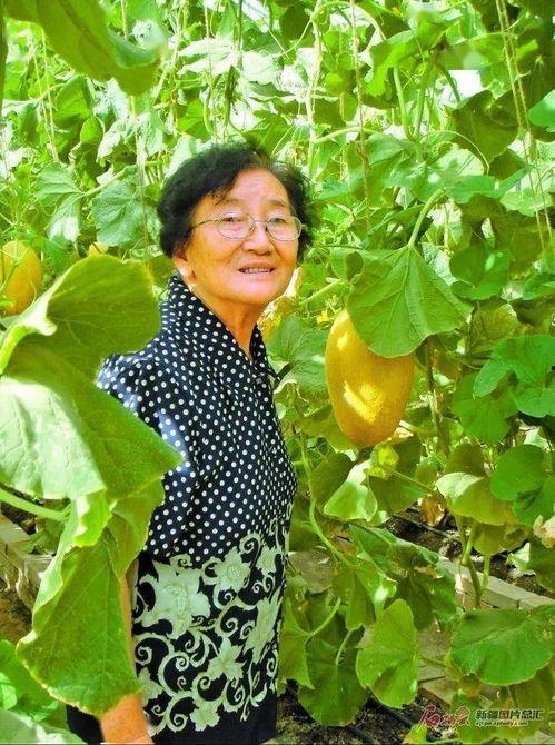 吃瓜挂图,一场视觉盛宴背后的故事