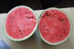 吃瓜优优,揭秘娱乐圈那些不为人知的幕后故事