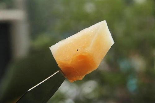 大头和粉丝吃瓜,一场吃瓜盛宴的欢乐时光