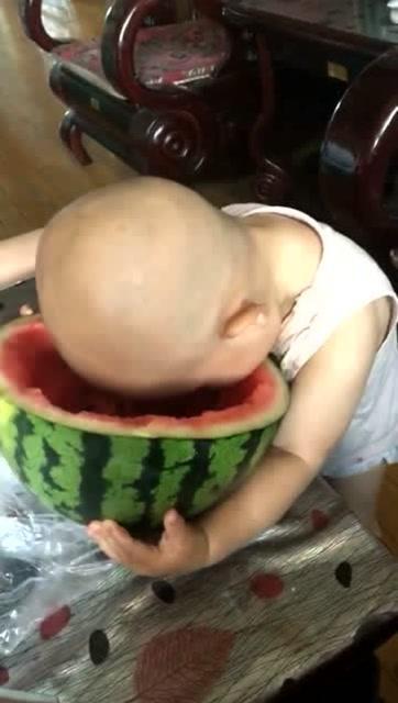 大头和粉丝吃瓜,一场吃瓜盛宴的欢乐时光