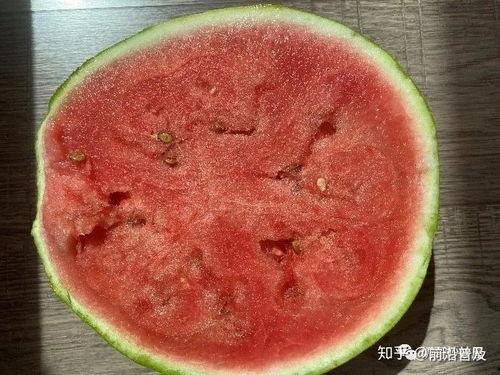 吃瓜不懂科学,从现象到本质的深度解读