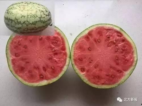 吃瓜不懂科学,从现象到本质的深度解读