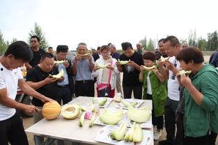 爷爷吃老汉瓜,传承老汉瓜的甜蜜记忆