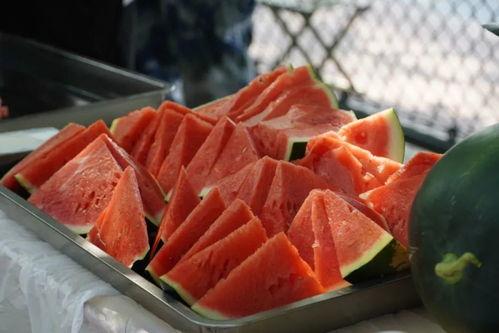 商洛职院教室吃瓜,瓜果飘香里的学习时光