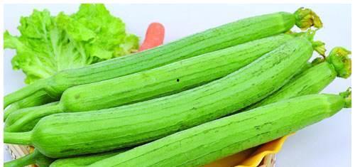 瓜网免费吃瓜程女士,程女士带你畅游瓜界盛宴