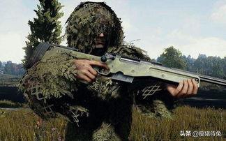 吃瓜神枪,揭秘娱乐圈幕后真相