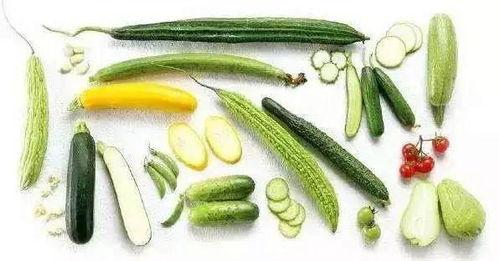 瓜鲜怎么吃,探索夏日美食新境界