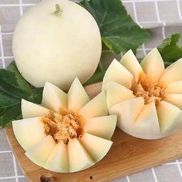 玲儿吃瓜,揭秘娱乐圈那些不为人知的幕后故事