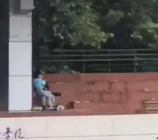 沈阳大学吃瓜视频,揭秘校园热点事件背后的真相