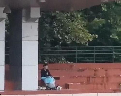 沈阳大学吃瓜视频,揭秘校园热点事件背后的真相