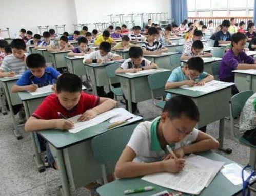 河北安中中学吃瓜,吃瓜群众见证校园风云