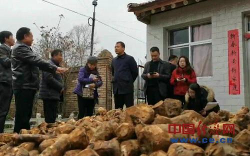 陇南礼县吃瓜新闻事件,一场引发社会关注的网络热议