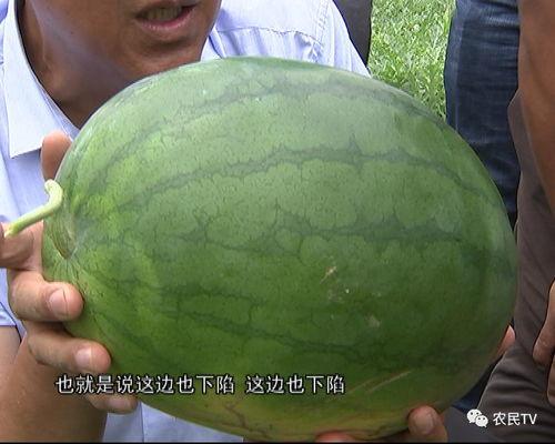 博智林吃瓜,揭秘娱乐圈幕后故事