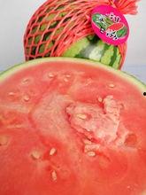 下沙吃瓜,吃瓜群众的热闹日常