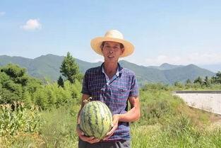 下沙吃瓜,吃瓜群众的热闹日常