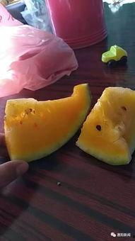 吃瓜视频怎么出售,轻松学会如何出售热门内容