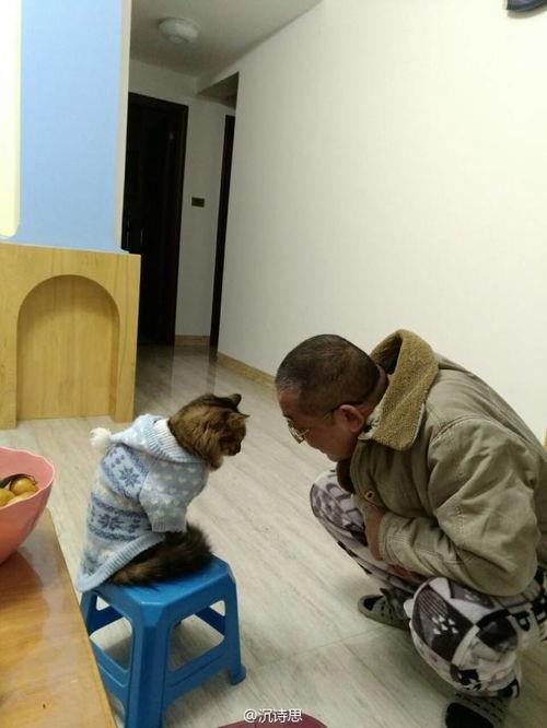 爸妈干架吃瓜,吃瓜群众围观