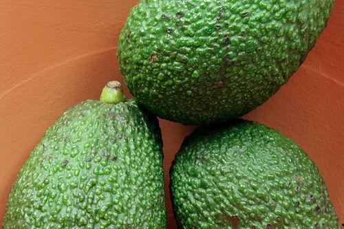 吃哈密瓜嘴边红