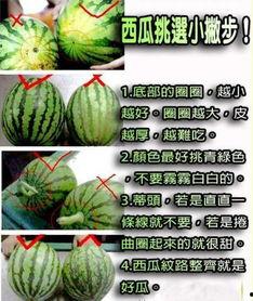 吃瓜怎么切块,吃瓜达人教你如何巧妙切块