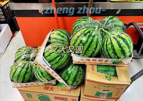 郑州网吧吃瓜,吃瓜群众见证的深夜风云