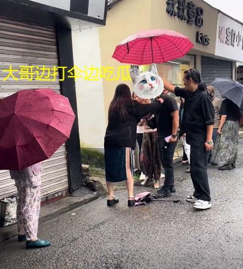 大型吃瓜路人头像,揭秘网络社交背后的趣味与现象