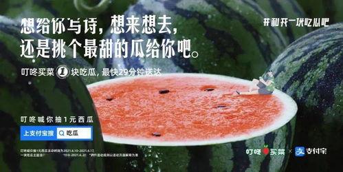 吃瓜看戏文案图片,揭秘吃瓜看戏的趣味时光