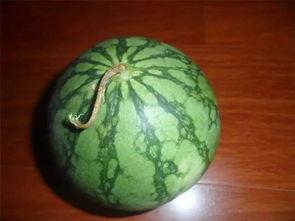 老黑吃瓜呀,揭秘娱乐圈幕后故事