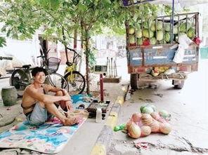 挂横幅吃瓜,揭秘网络热议背后的趣味与真相