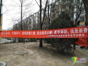 挂横幅吃瓜,揭秘网络热议背后的趣味与真相