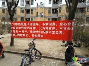 挂横幅吃瓜,揭秘网络热议背后的趣味与真相