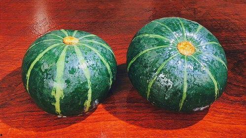 什么瓜煮着吃呢,哪些瓜类适合煮着吃