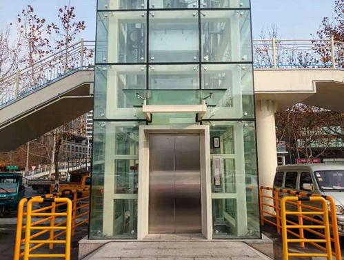 东门天桥吃瓜,吃瓜群众的欢乐盛宴