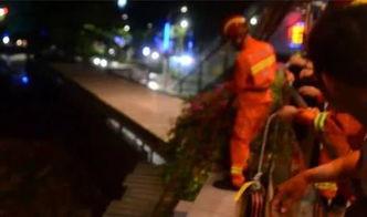 东门天桥吃瓜,吃瓜群众的欢乐盛宴