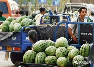 远东世纪城吃瓜,一场吃瓜盛宴背后的故事