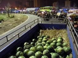 远东世纪城吃瓜,一场吃瓜盛宴背后的故事