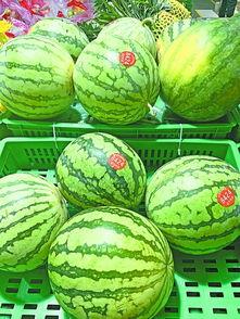 武汉吃瓜的博主