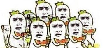 吃瓜的群众互怼,吃瓜群众互怼风云录