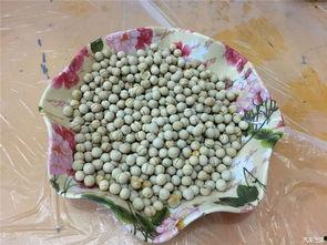 南京回家吃瓜,揭秘家乡独特“吃瓜”文化