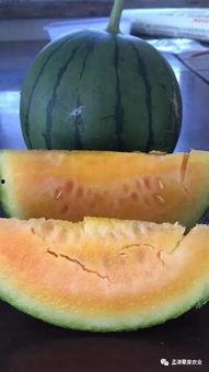 南京回家吃瓜,揭秘家乡独特“吃瓜”文化