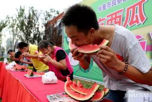 吃瓜大赛怎么组织