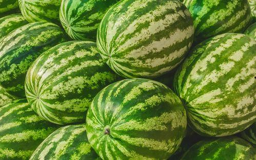 梦在桥下吃瓜,一场奇妙的梦境之旅