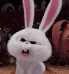 兔子吃瓜动态表情包,萌态可掬，趣味横生