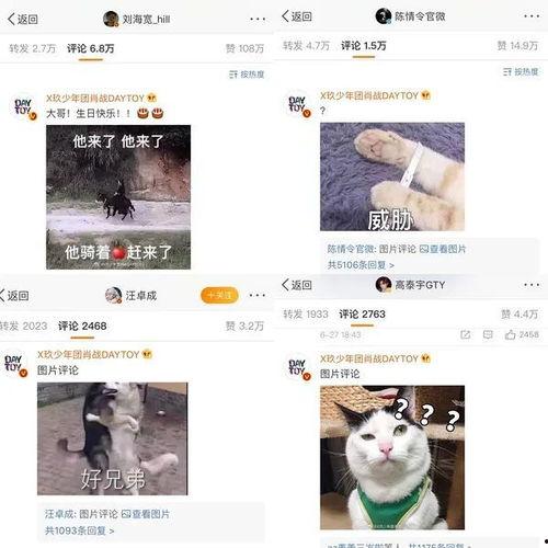 兔子吃瓜动态表情包,萌态可掬，趣味横生